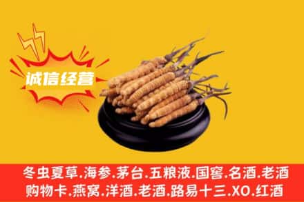 独山县回收冬虫夏草